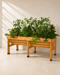 Large elevated cedar raised garden bed planted with vegetables and herbs.