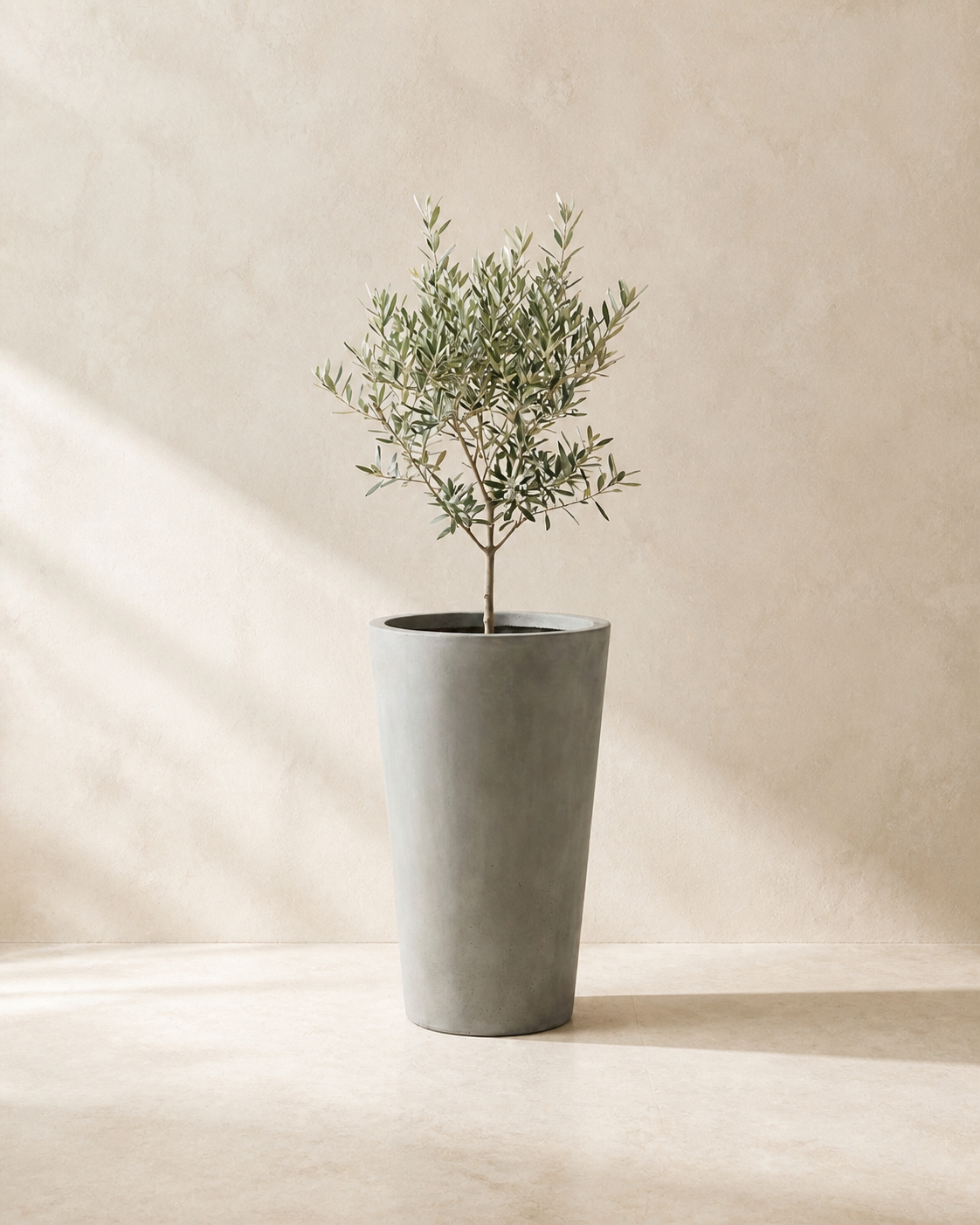 Citadel tall tapered gray concrete planter with a slender olive tree.