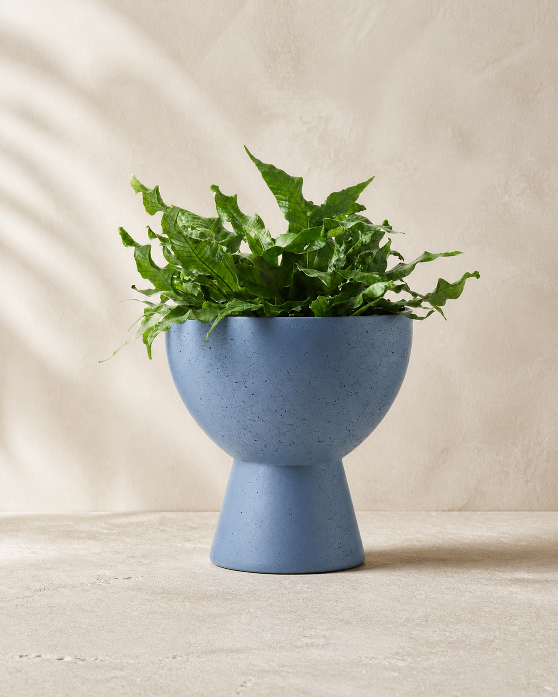 Claudia dusty blue cement pedestal planter bowl with a compact fern.