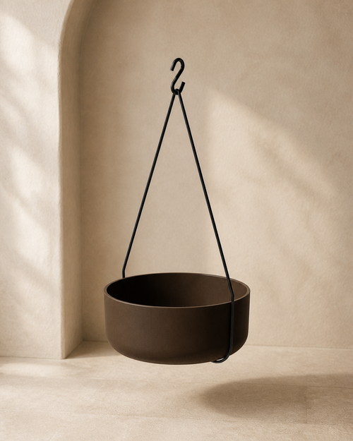 Espresso Hevea hanging bowl planter with black metal hanger in a warm limestone studio.