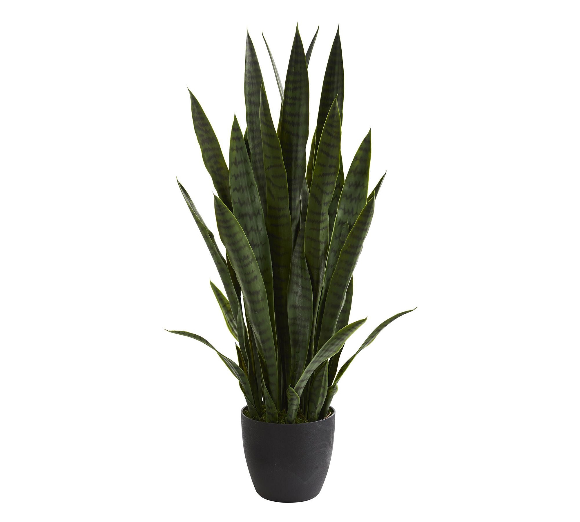 Sansevieria Faux Plant, 3'