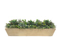 Succulent Arrangement in Rectangular Planter, Gray