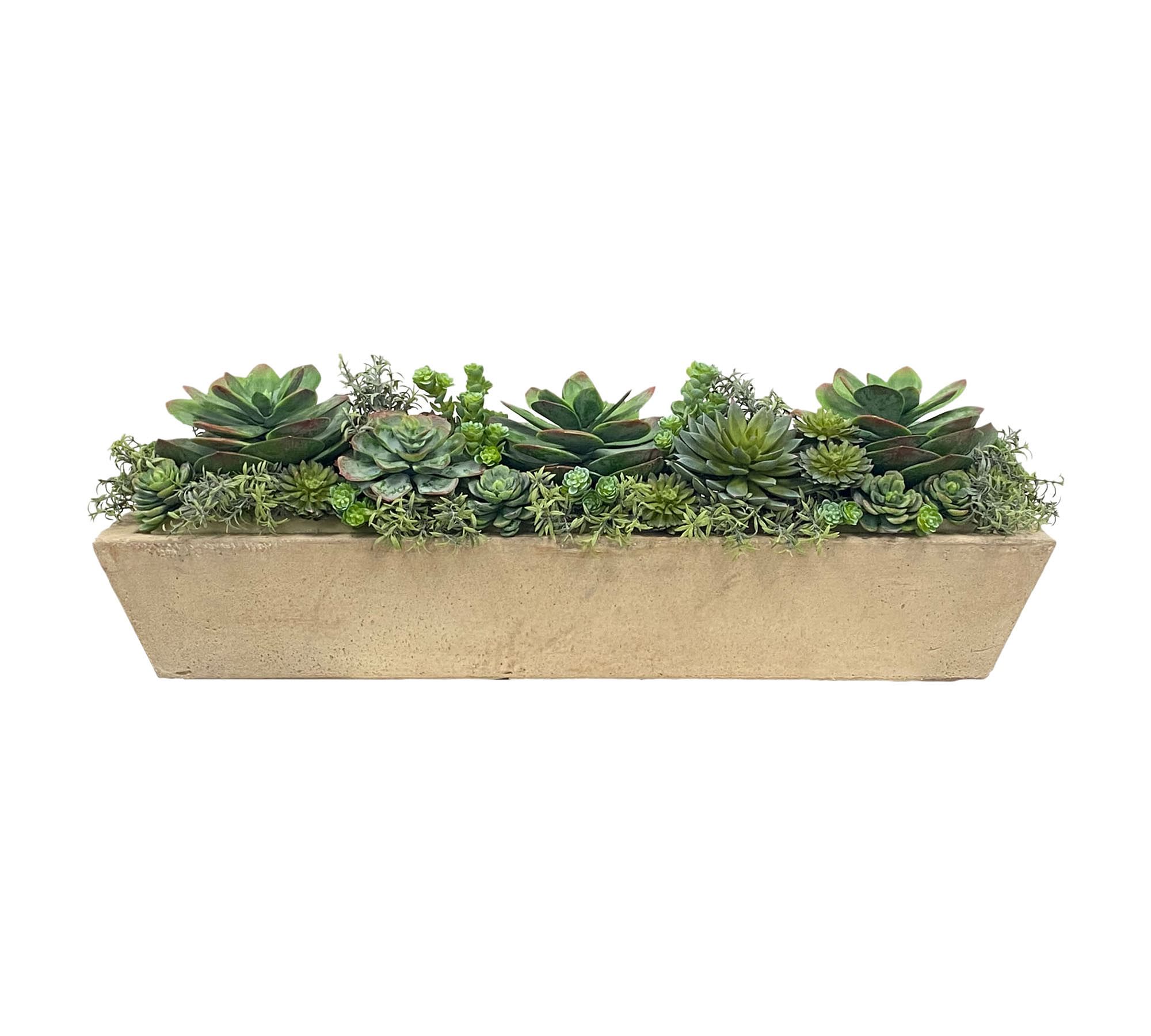 Succulent Arrangement in Rectangular Planter, Gray