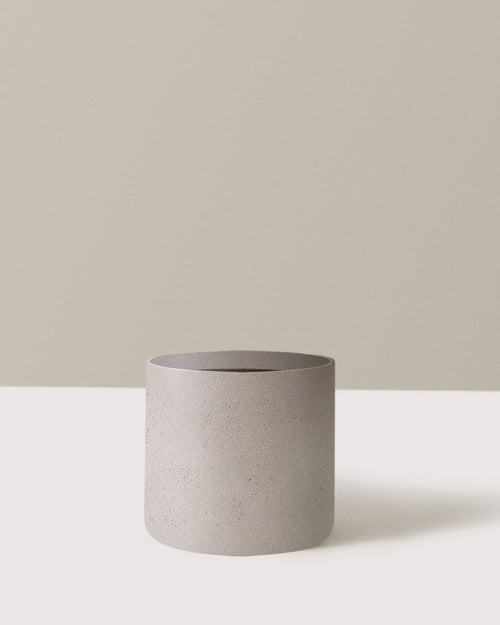 Cylindrical concrete planter on a white surface with a neutral background