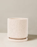 Speckled beige ceramic planter with saucer on a neutral background