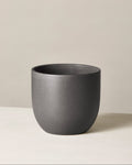 Dark gray ceramic pot on a beige background