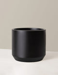 Black cylindrical planter on a beige background