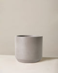 Gray textured plant pot on a neutral background