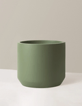 Mexia Planter in Green, rotating view